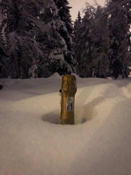 En champagneflaska instucken i snön framför vintertäckta träd.