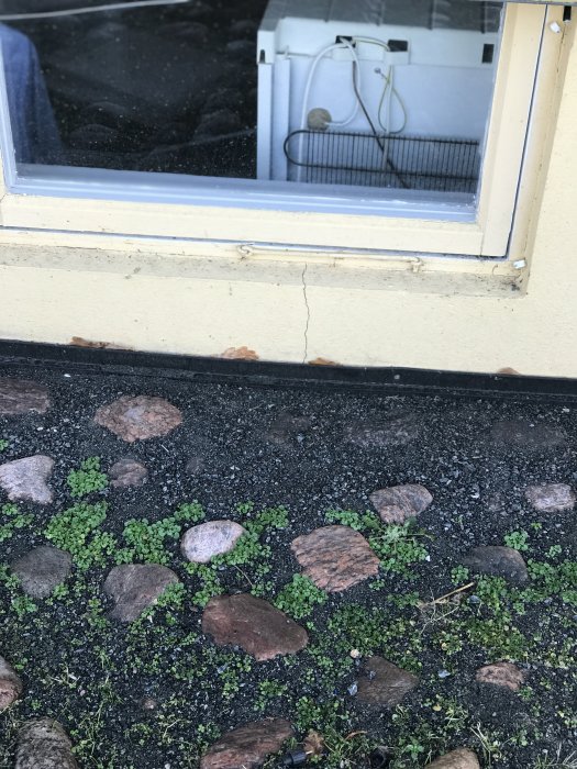 En liten spricka i en husgrund nära ett fönster, med stenläggning och gröna växter i förgrunden.