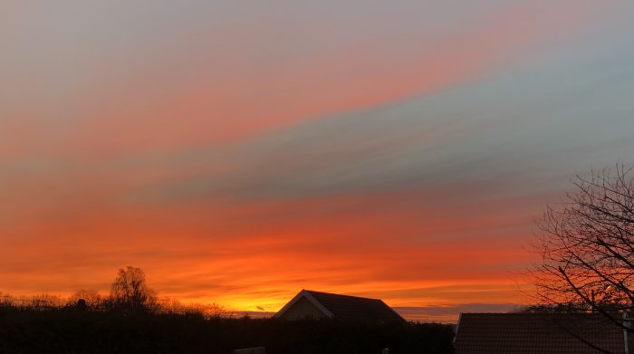 En solnedgång med varma färger bakom ett hus och träd utan snötäcke på julafton.