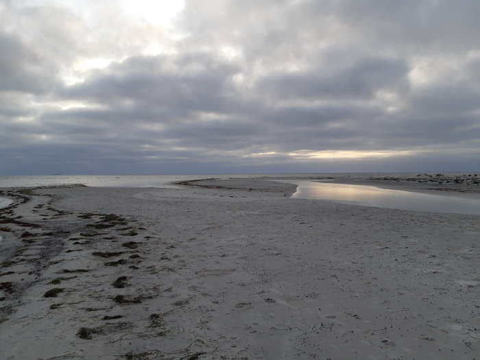 Solkysst strand vid Måkläppen med reflekterande vattenpölar och moln på himlen.