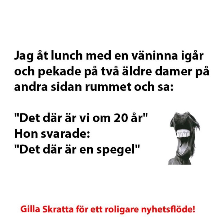 Text med skämt om åldrande över en bild på en skrattande hästfigur.