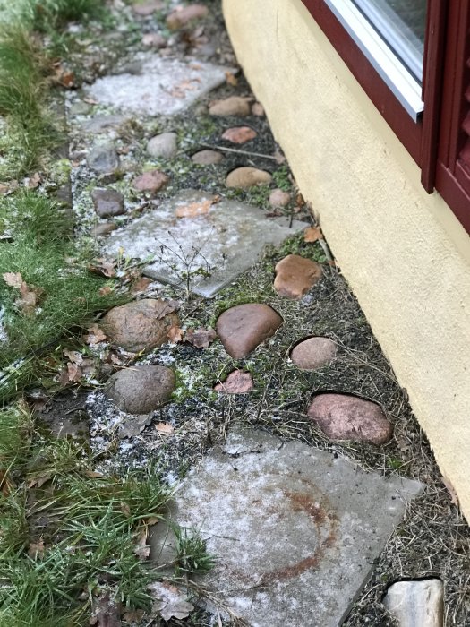Grund med isbildning intill husvägg omgivet av grönt gräs och löv.