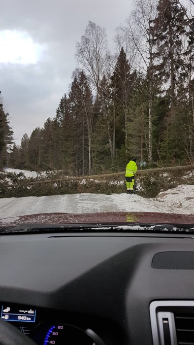 Person i vägkanten vid nedfallna träd över snöig väg, sedd från bilens insida.