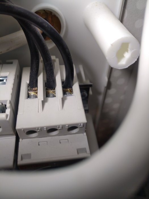 Förtennade kablar anslutna i fördelningsdosa med synliga silverfärgade kardeler.