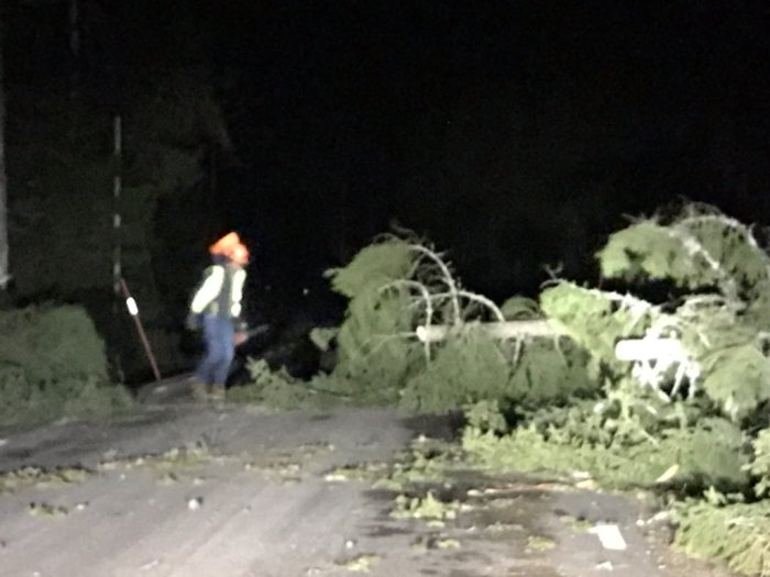 Person med skyddshjälm undersöker nedfallna granar över en väg på natten.