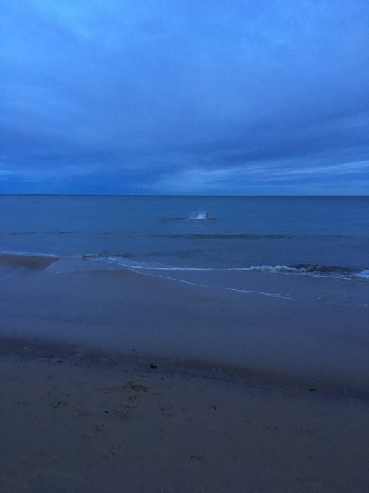 Strandlinje på Österlen i skymningen med lugnt hav och sandstrand.