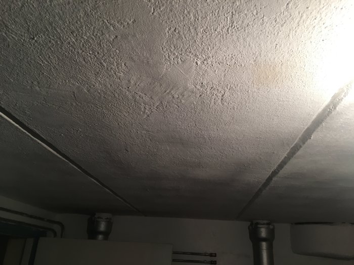 031C10C1-5113-48BC-B9DC-E730136F021F.jpeg