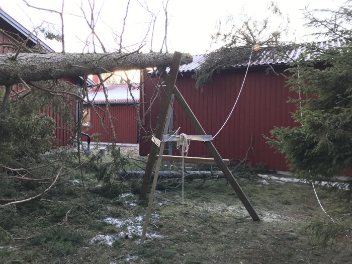 Stort träd som fallit över en gungställning med en röd ladugård i bakgrunden.