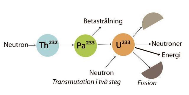 Schematisk bild av transmutation och klyvning i en toriumbaserad bränslecykel.