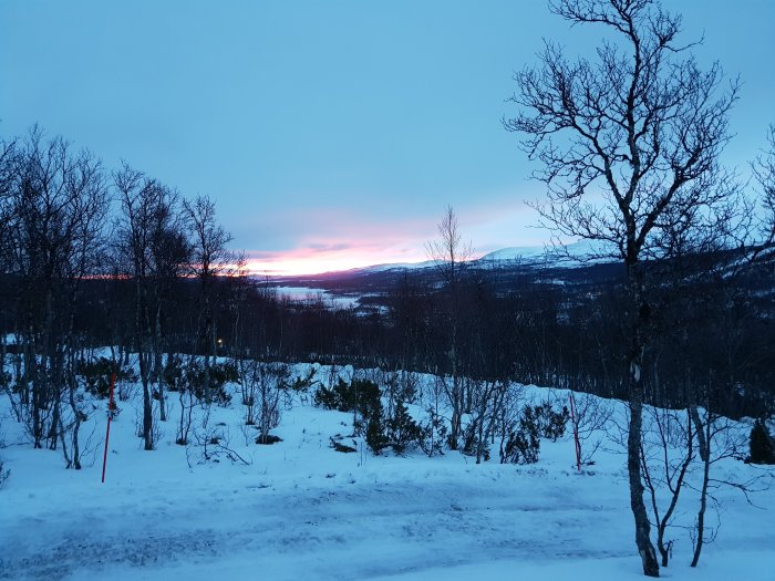Soluppgång över ett snöigt landskap med träd och fjäll i bakgrunden.