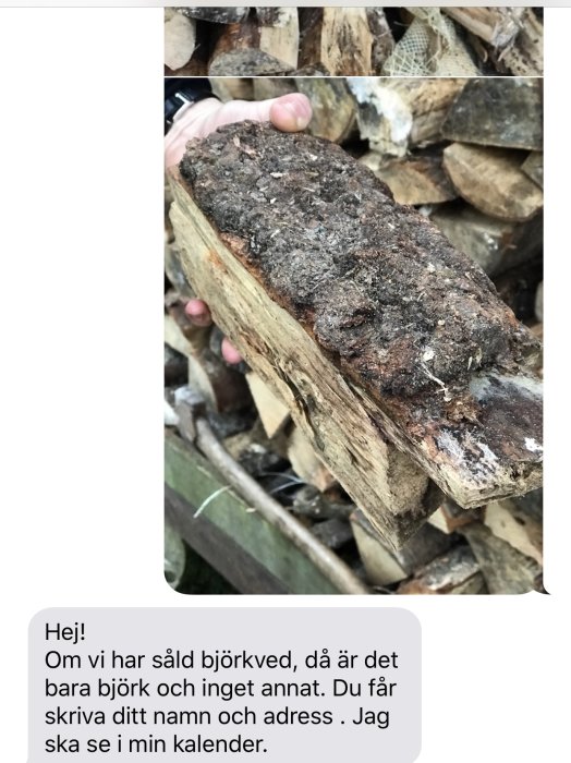 Hand håller en vedträ som visar tecken på fukt och mögel, med en bakgrund av staplad ved.