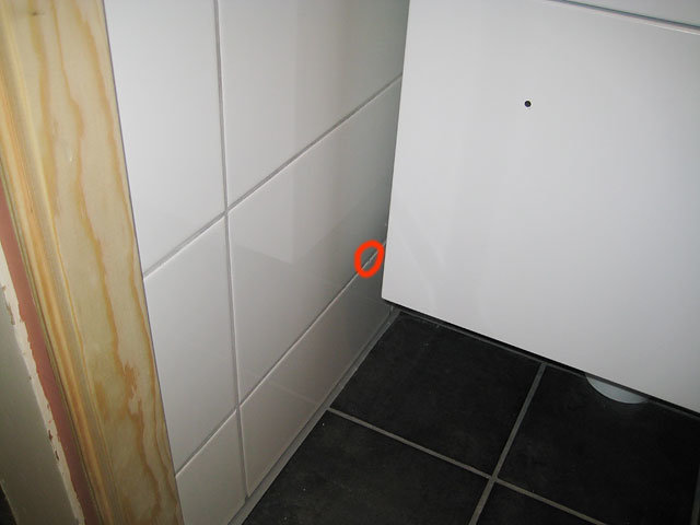 IMG_6641.jpg