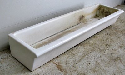 34921-image.jpg.jpg