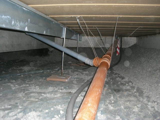 CIMG3955.jpg
