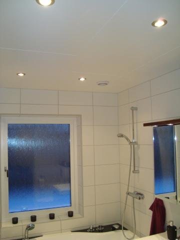 DSC01928.jpg
