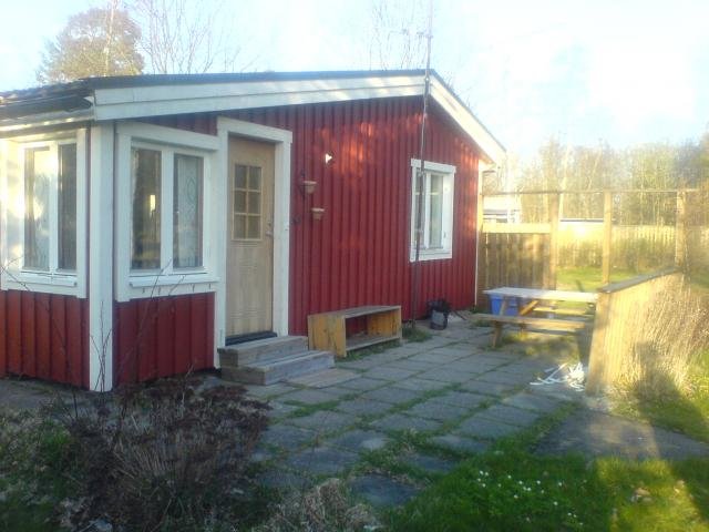 DSC00100.jpg