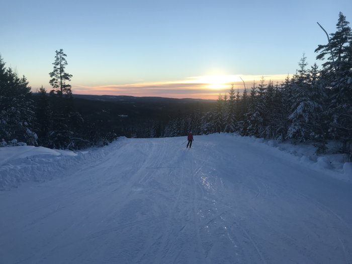 Skidåkare nedför en snöklädd backe med träd och solnedgång i bakgrunden.