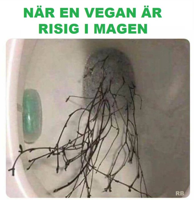 Toalettstol med avföring och spirande växtskott, vilket illustrerar skämt om veganer.