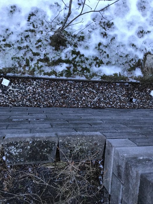 Stödmur av mursten med planterad häck ovanpå och snötäckt mark i vintermiljö.