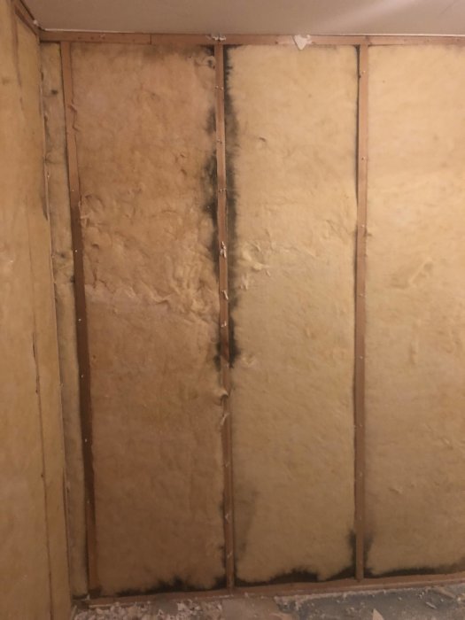 Renoverat förråd med gammal isolering och svarta fläckar längs träreglar.
