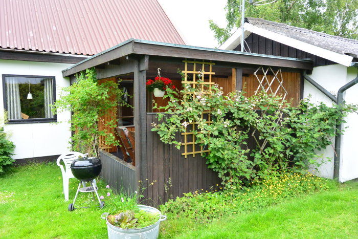 En liten träbyggnad med mörkbruna väggar och röd plåttak intill ett vitt hus, omgiven av grönska och en grill framför.