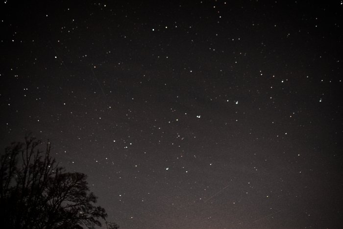 Stjärnklar natthimmel med synliga stjärnor och konturer av trädtoppar.
