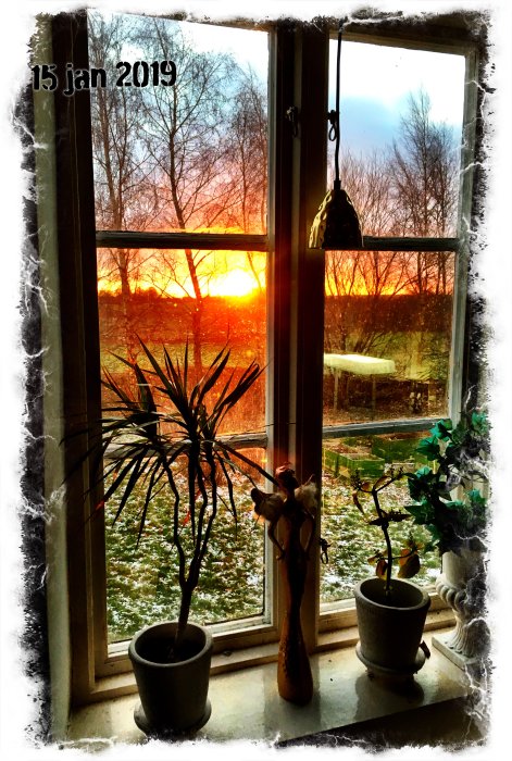 Vy genom ett fönster vid solnedgång med krukväxter och skulptur på fönsterbrädan, frost på rutan.