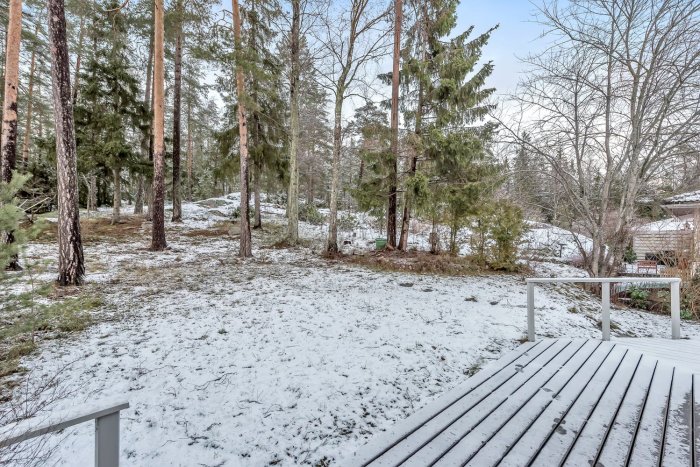 Snötäckt sluttande trädgårdstomt med skog och tallar bakom en delvis synlig trätrall.