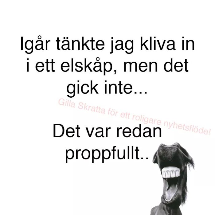 Meme med text "Igår tänkte jag kliva in i ett elskåp, men det gick inte... Det var redan proppfullt" och en bild av en skrattande häst.