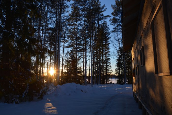 Solnedgång bakom träd där ljuset faller på en husvägg med ny monterad panel i ett vinterlandskap.