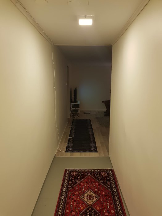 20190123_202055.jpg