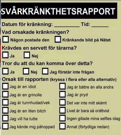 Skärmbild av en humoristisk "Svårkränkthetsrapport" med checkbara svarsalternativ om orsak till kränkning.