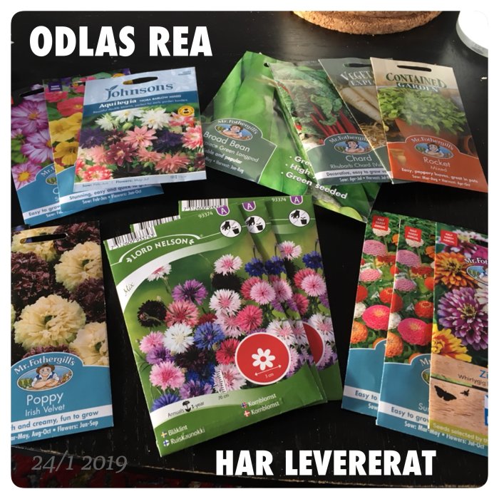 Flera fröpåsar för blommor och grönsaker, bl.a. kornblomster och vallmo, utspridda på ett bord.