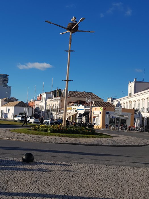 Storkpar i ett bo på toppen av en lyktstolpe i en rondell i Faro, Portugal.