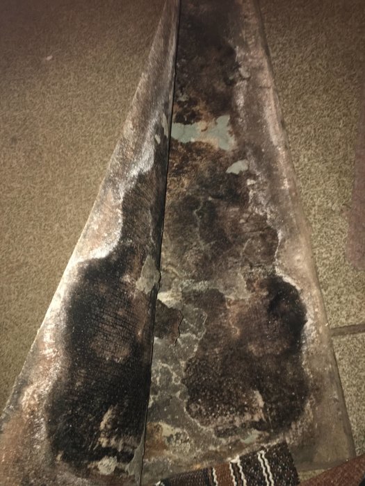 Borttagna mattor avslöjar mögelangrepp på betonggolv, med varierande mögelfläckar.