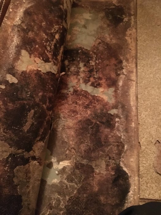 Upprullad matta på ett betonggolv med mögel och fuktskador efter att mattan tagits bort.