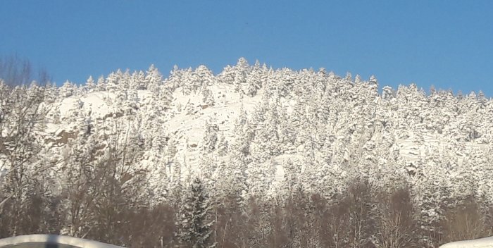 Vinterlandskap med snötäckta träd mot en klarblå himmel.
