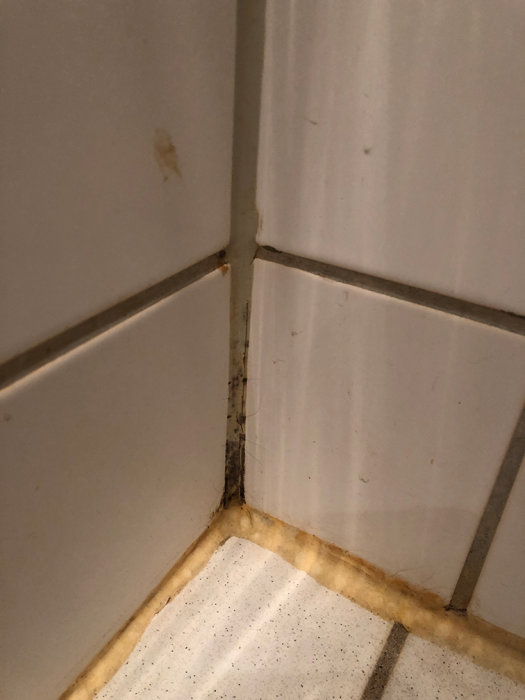 Badrumshörna med misstänkt mögel och gulnade fogar vid kakel och golv.