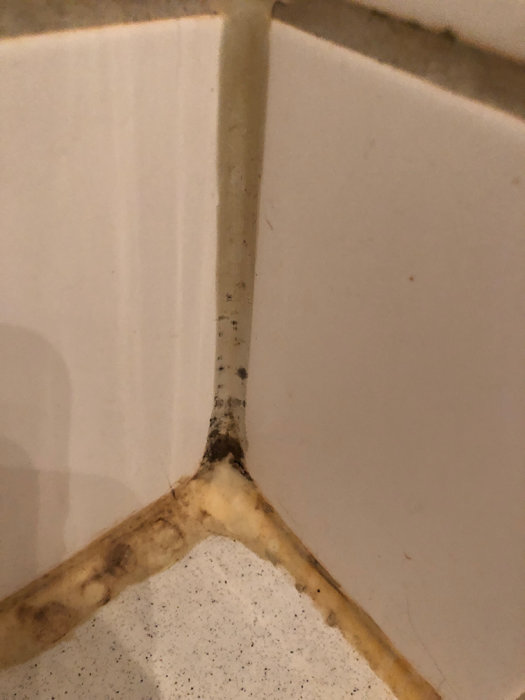 Mögelskador och gulnade fogar i hörnet nära duschen i ett badrum.
