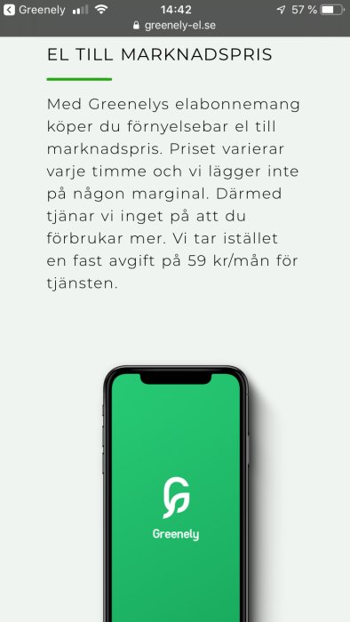 Smartphone som visar elabonnemangsinformation på en webbsida.