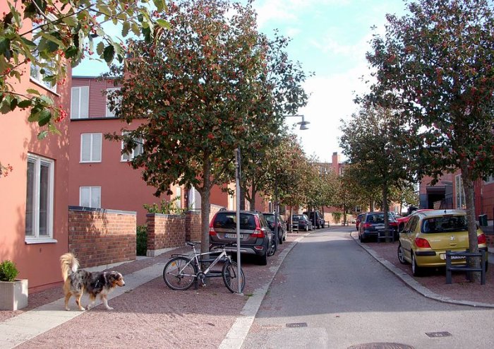 Gata i Nybodaberget med träd, parkerade bilar, en cykel och en hund.