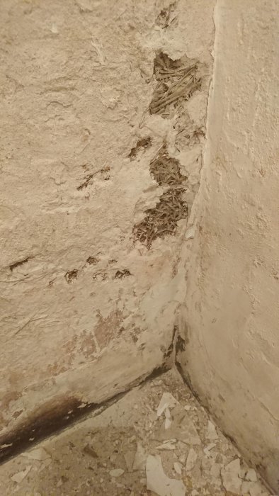 DSC_0172.JPG