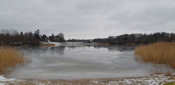 Istäckt sjö med omgivande vass och skog i grått vinterlandskap, Skåne.
