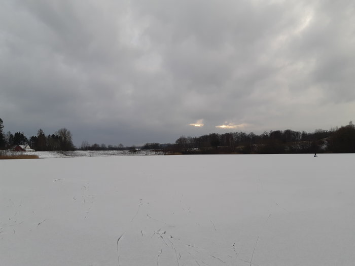 En person åker skridskor på en snötäckt isbana i ett vinterlandskap i Skåne.