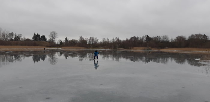 En person som åker skridskor på en blank isyta i ett landskap i Skåne med träd och grå himmel.