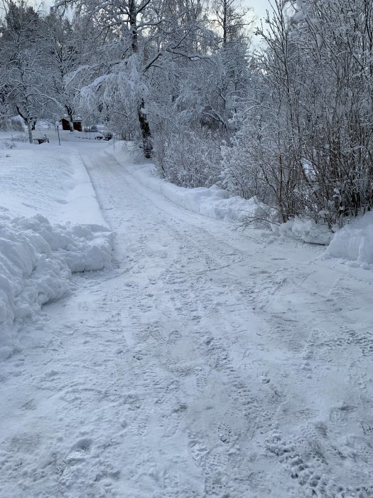 Snötäckt uppfart med fotspår och vinterträd under en grå himmel.