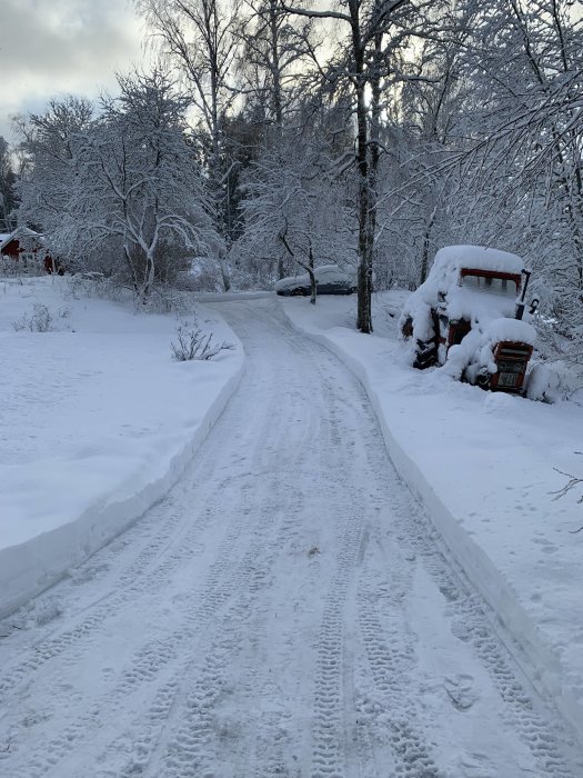 Snötäckt uppfart med träd och täckt fordon.