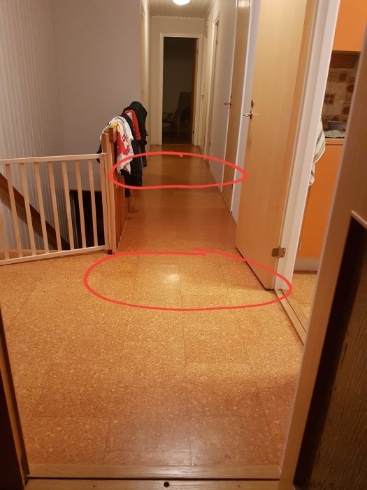 20190203_214223.jpg
