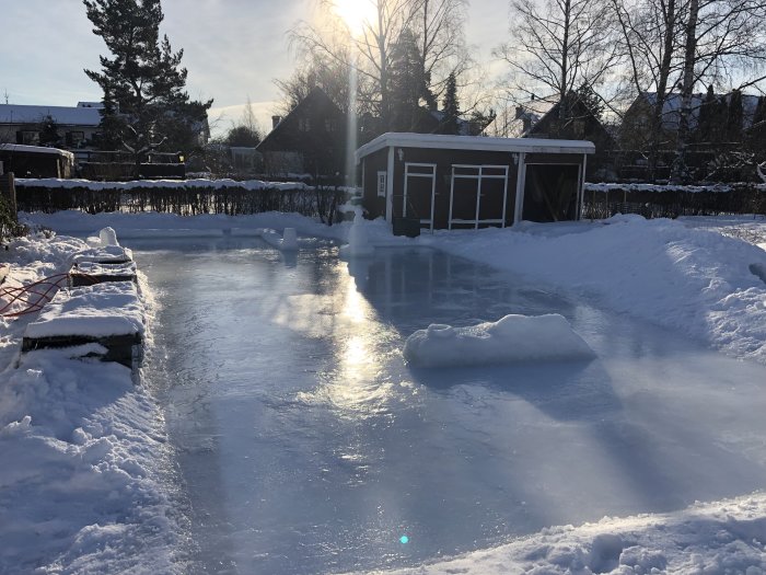 Hemmagjord skridskobana med blank is omgiven av snö i en trädgård med solsken.