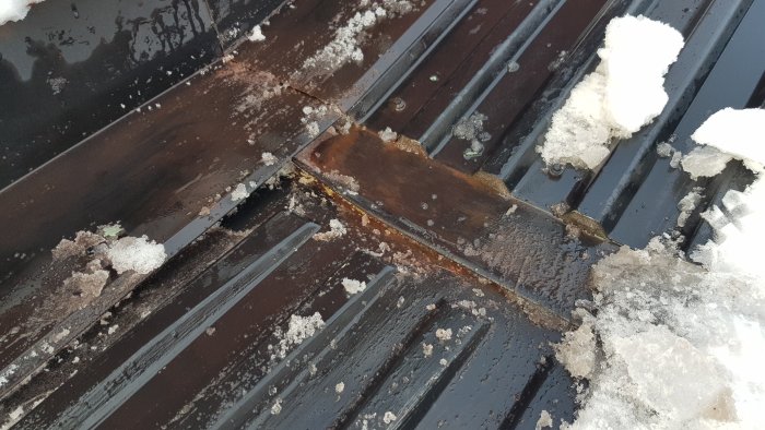 20190208_104721.jpg